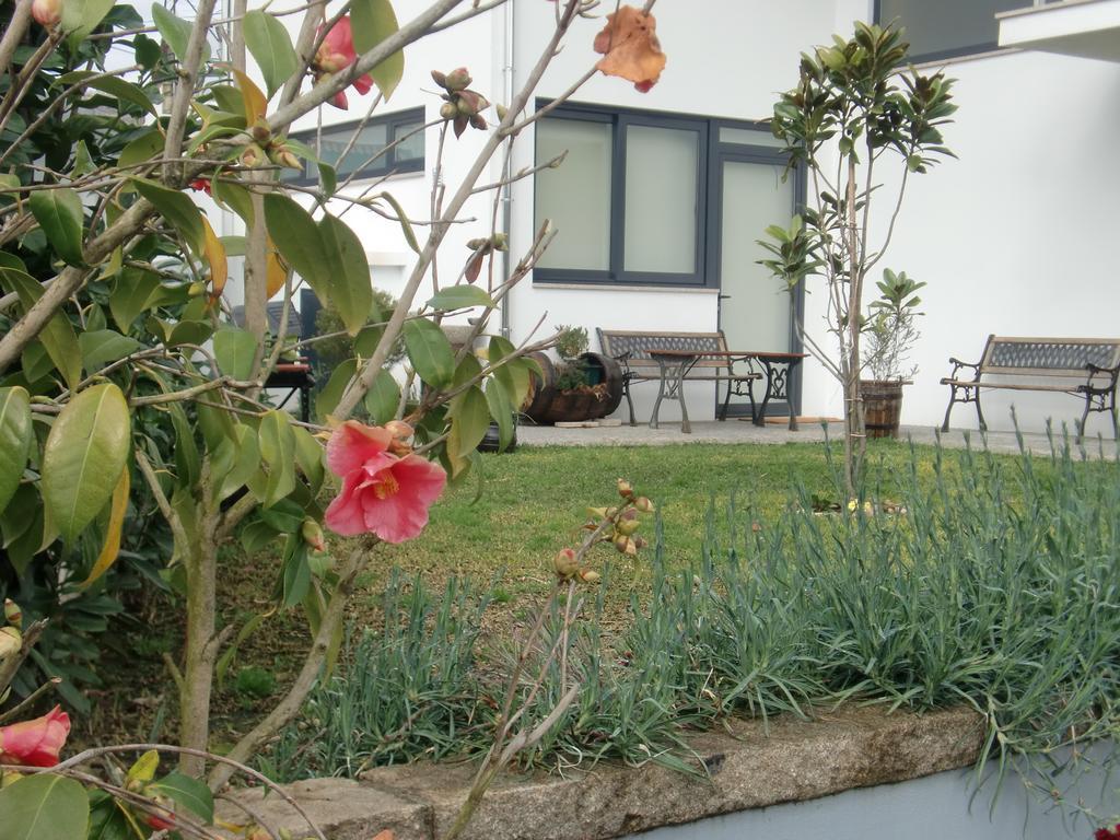 Casa De Coelhosa 호텔 발르 드 캄브라 외부 사진